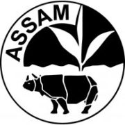 assam tea